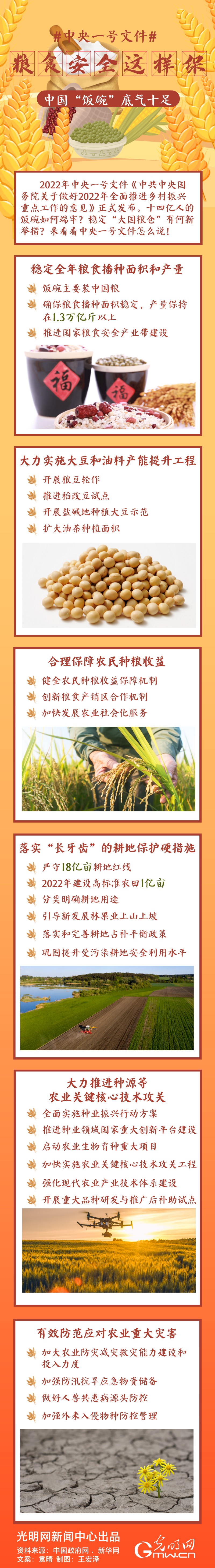 中央一號(hào)文件｜糧食安全這樣保，中國(guó)“飯碗”底氣十足