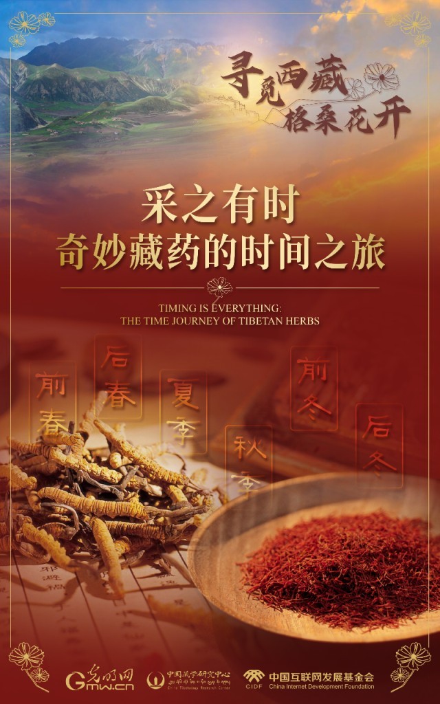 【尋覓西藏·格?；ㄩ_(kāi)】采之有時(shí)：奇妙藏藥的時(shí)間之旅