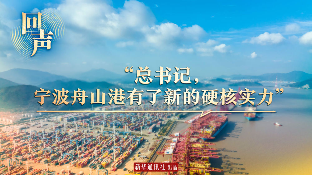 回聲｜“總書記，寧波舟山港有了新的硬核實(shí)力”
