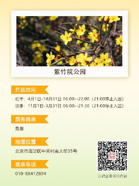 追花指南第二期！京城三月里最撩人的玉蘭觀賞地