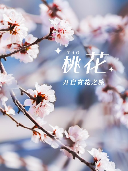 追花指南第三期！別等了 今天就去和桃花撞個滿懷