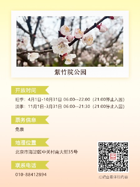 追花指南第六期！杏花雨 楊柳風 北京最美的杏花在這里