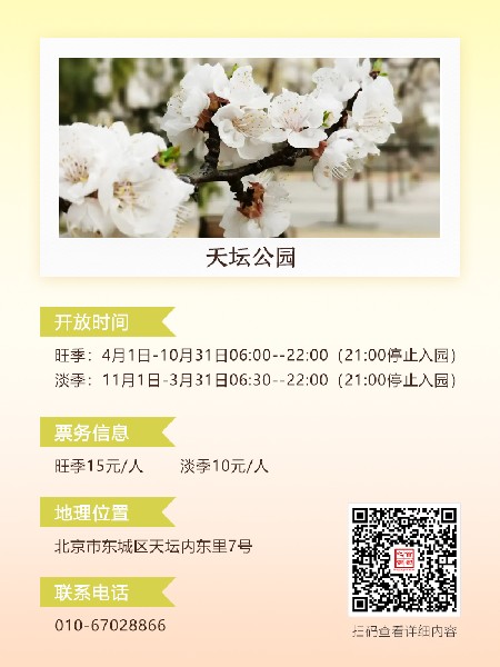 追花指南第六期！杏花雨 楊柳風 北京最美的杏花在這里
