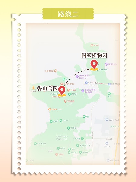 追花指南第六期！杏花雨 楊柳風 北京最美的杏花在這里