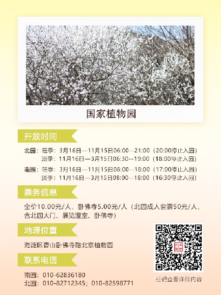 追花指南第六期！杏花雨 楊柳風 北京最美的杏花在這里