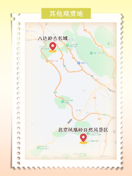 追花指南第六期！杏花雨 楊柳風 北京最美的杏花在這里