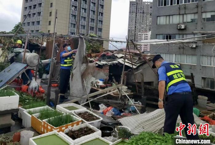 在一處居民樓屋頂，城管隊(duì)員拆除“空中菜園”?！〗疖?攝
