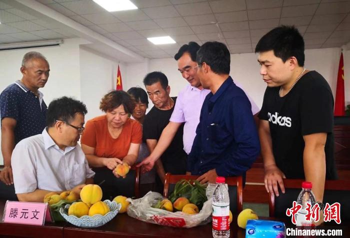 民進(jìn)浙江省委會(huì)為三里橋黃桃種植戶送技術(shù)、送指導(dǎo)。　嘉善統(tǒng)戰(zhàn) 供圖