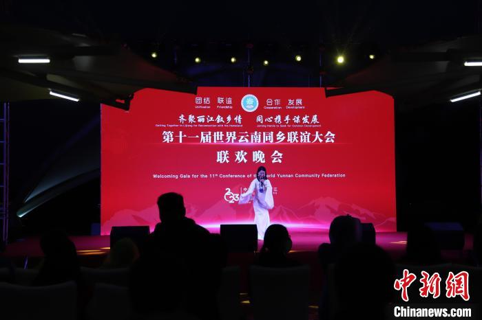 圖為第十一屆世界云南同鄉(xiāng)聯(lián)誼大會(huì)舉辦聯(lián)歡晚會(huì)?！〈抻澜?攝