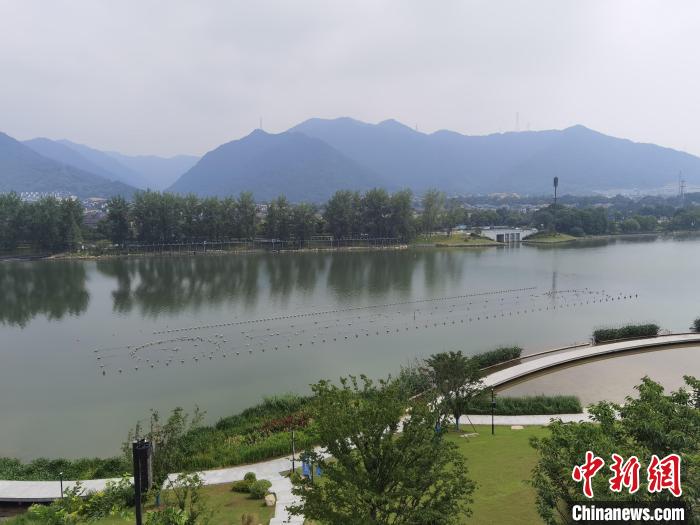 兩岸媒體共探杭州亞運會“綠”在何處？
