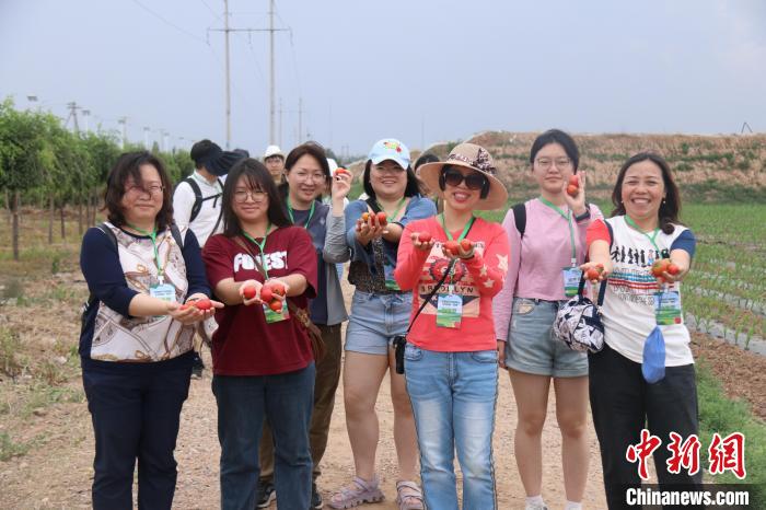 圖為臺(tái)胞體驗(yàn)大美內(nèi)蒙古?！⊥袐I供圖