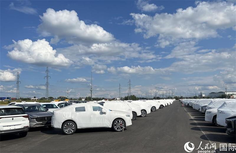 莫斯科別雷拉斯特物流中心內(nèi)的中國品牌汽車。人民網(wǎng)記者 申佳平攝
