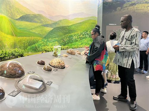   （在中國藥都中醫(yī)藥博物館，外媒記者了解中醫(yī)藥發(fā)展史。中國經濟周刊記者 郭志強 攝）