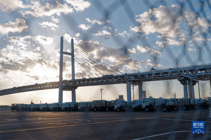 這是11月14日在日本橫濱拍攝的進(jìn)出口汽車集散場(chǎng)地。新華社記者 張笑宇 攝
