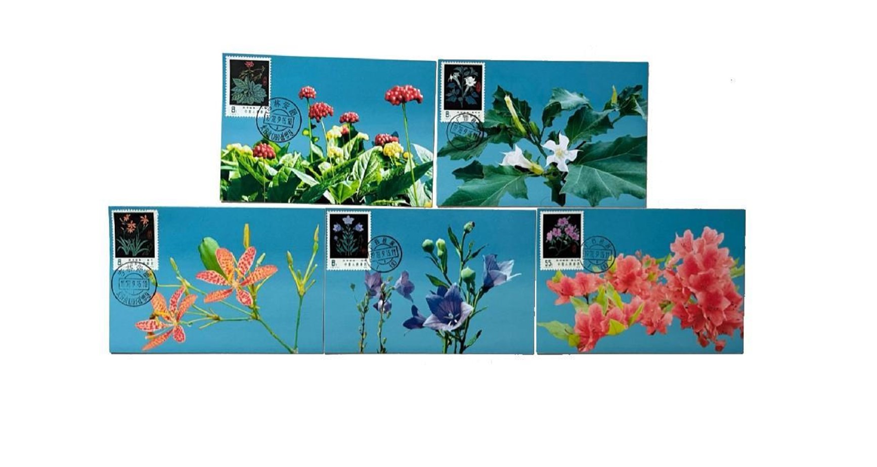 首套藥用植物極限片。第七屆阿聯(lián)酋集郵展主辦方供圖