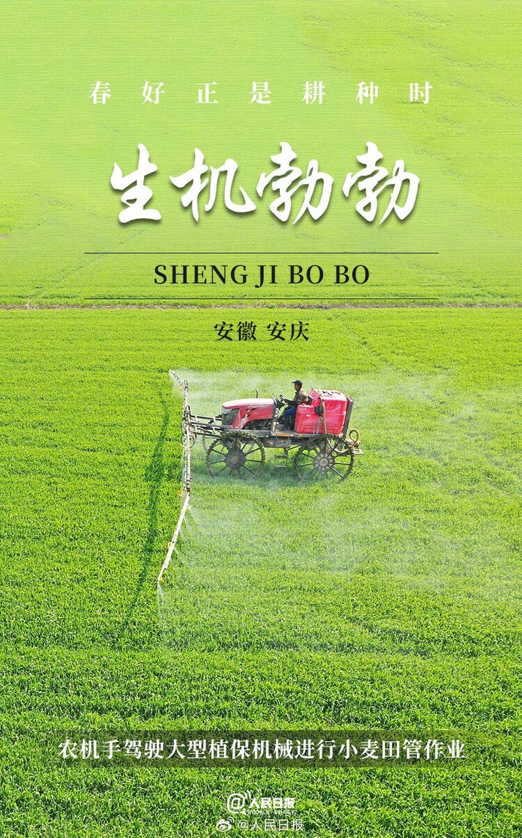 生機(jī)盎然！用課本封面打開春耕畫卷