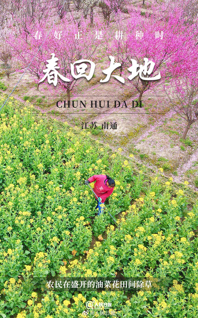 生機(jī)盎然！用課本封面打開春耕畫卷