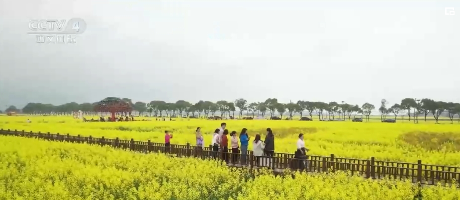 “春日經(jīng)濟(jì)”熱力十足 “賞花+”融合煥新創(chuàng)造發(fā)展場景式消費新機(jī)遇