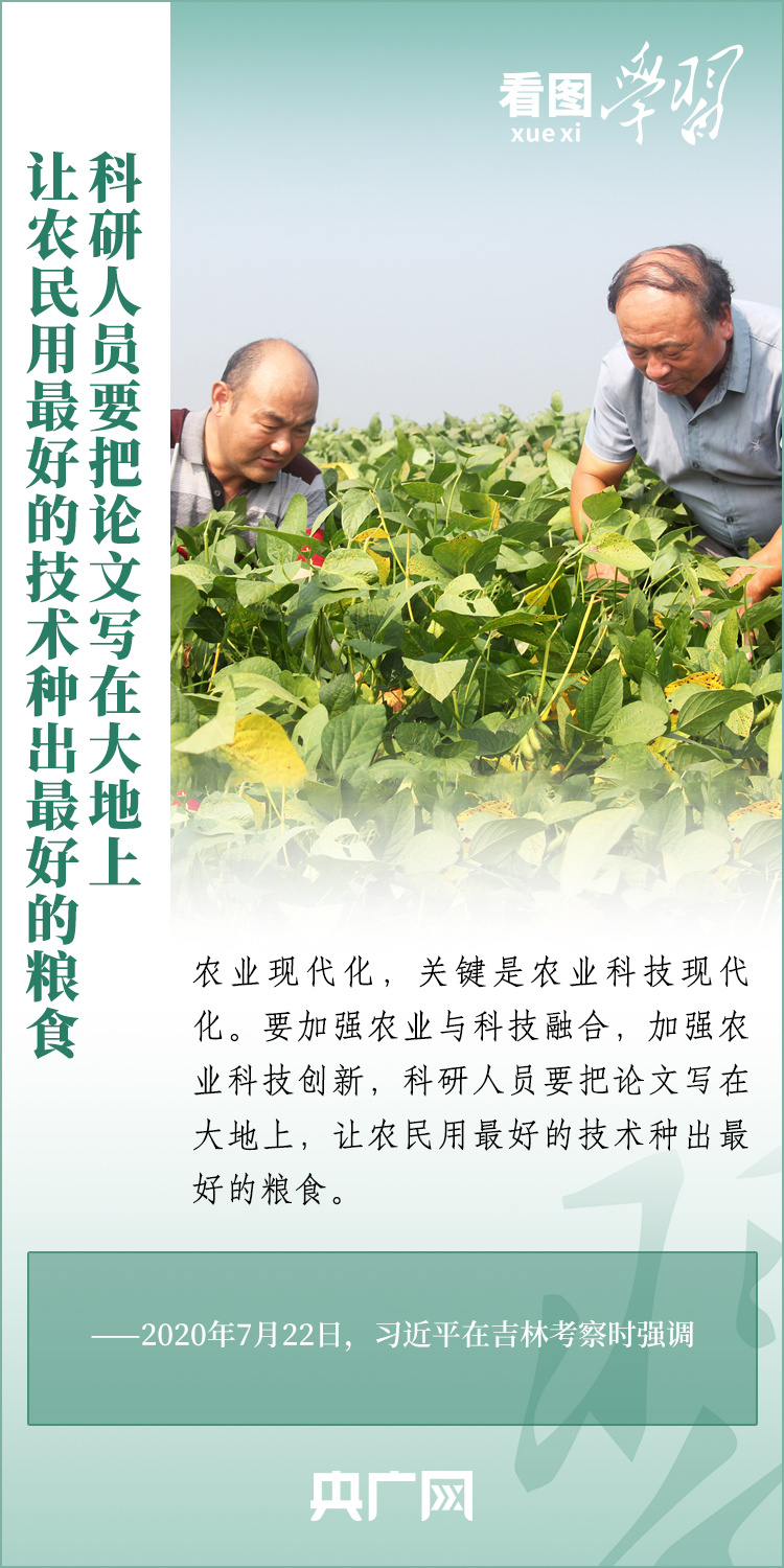看圖學(xué)習(xí)丨推廣良田、良種、良法、良機 給農(nóng)業(yè)現(xiàn)代化插上科技的翅膀