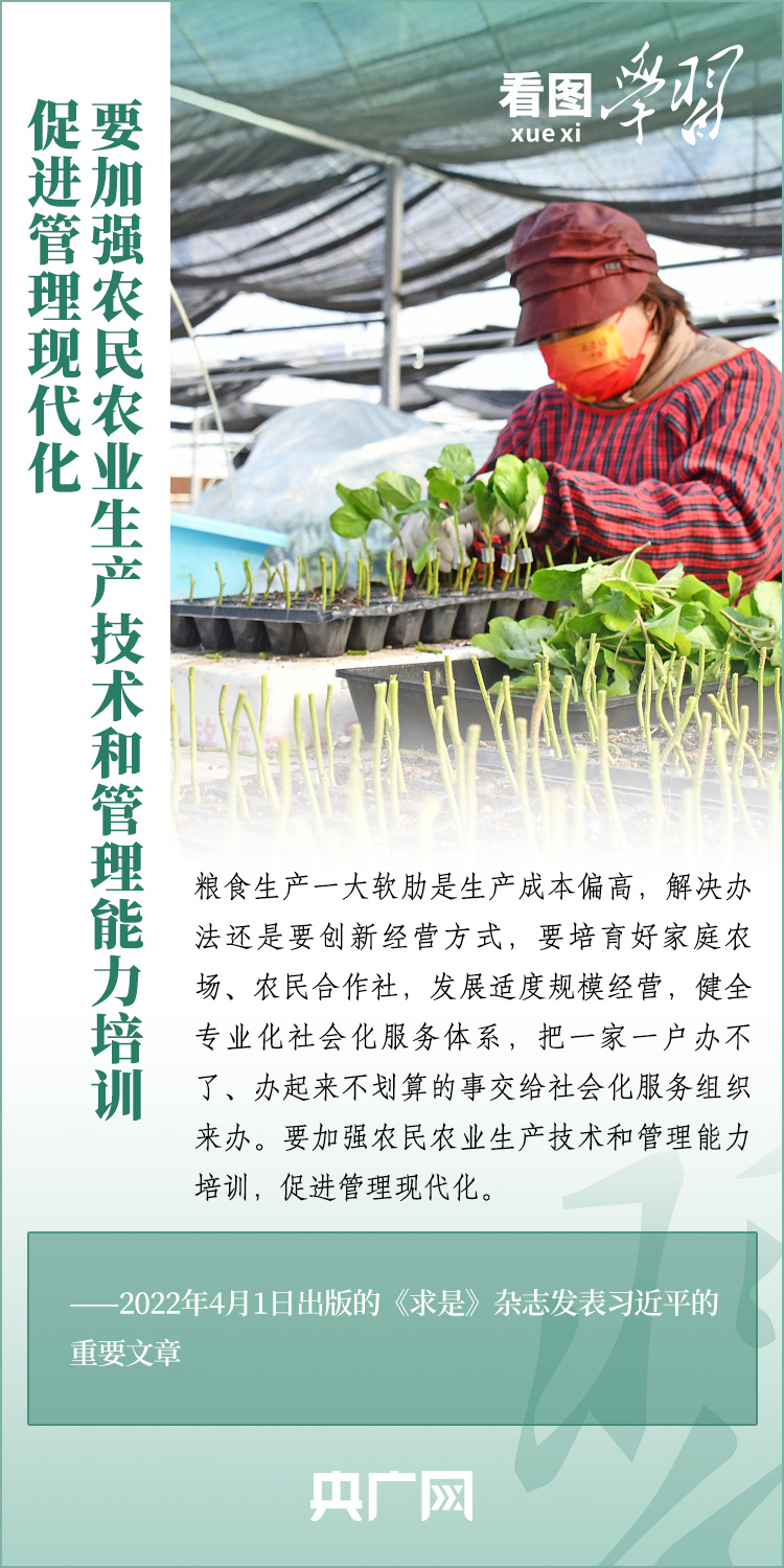看圖學(xué)習(xí)丨推廣良田、良種、良法、良機 給農(nóng)業(yè)現(xiàn)代化插上科技的翅膀