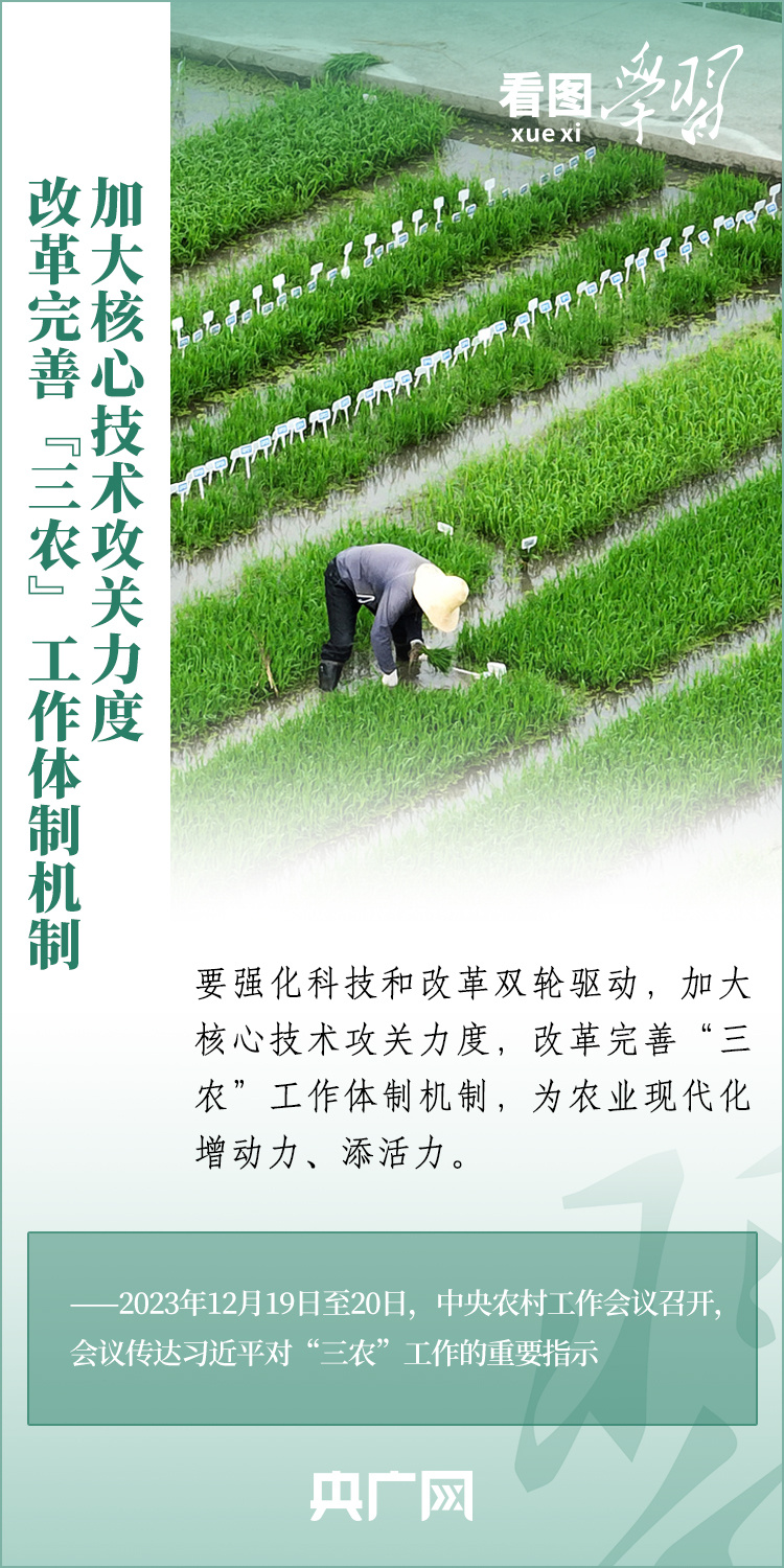 看圖學(xué)習(xí)丨推廣良田、良種、良法、良機 給農(nóng)業(yè)現(xiàn)代化插上科技的翅膀
