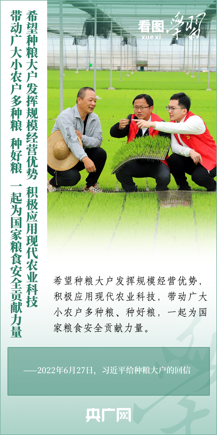 看圖學(xué)習(xí)丨推廣良田、良種、良法、良機 給農(nóng)業(yè)現(xiàn)代化插上科技的翅膀