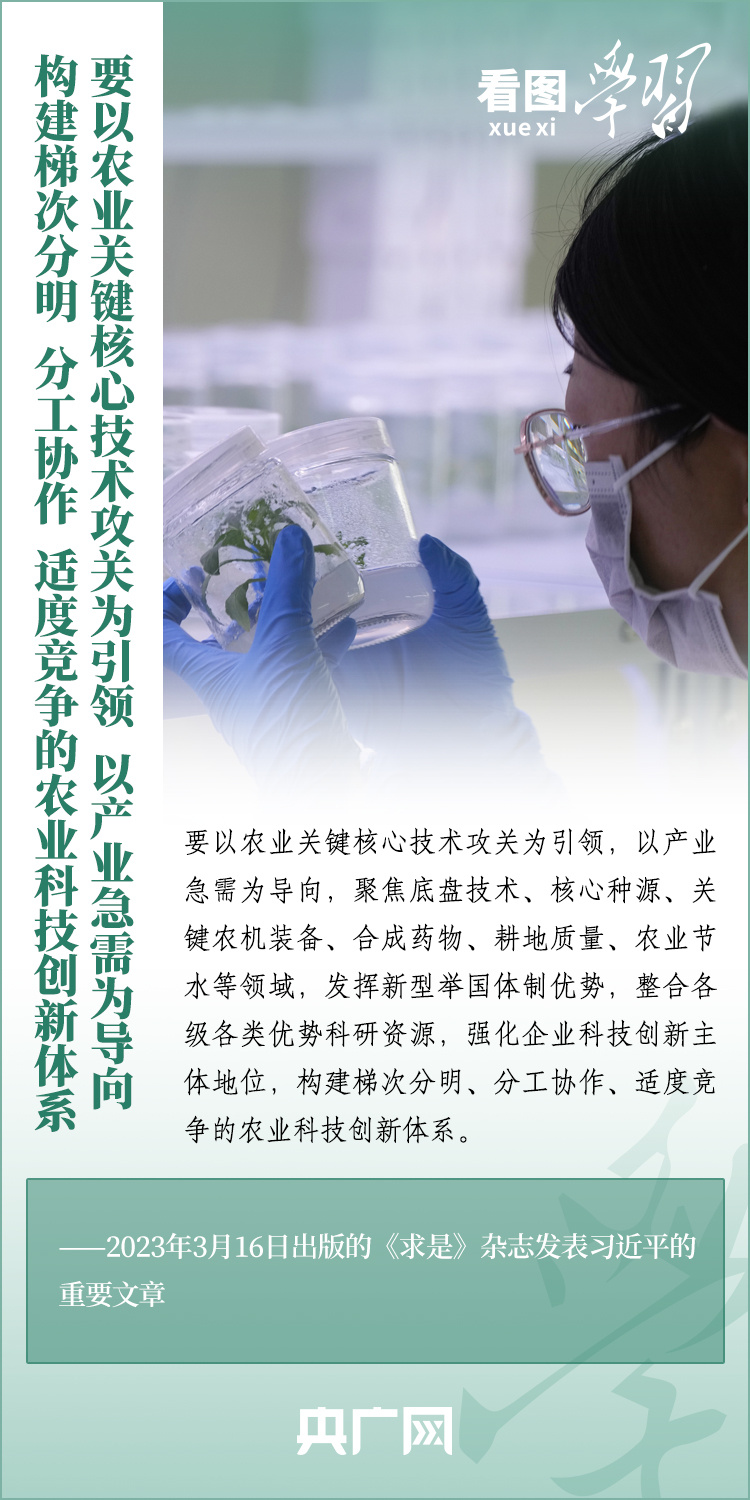 看圖學(xué)習(xí)丨推廣良田、良種、良法、良機 給農(nóng)業(yè)現(xiàn)代化插上科技的翅膀