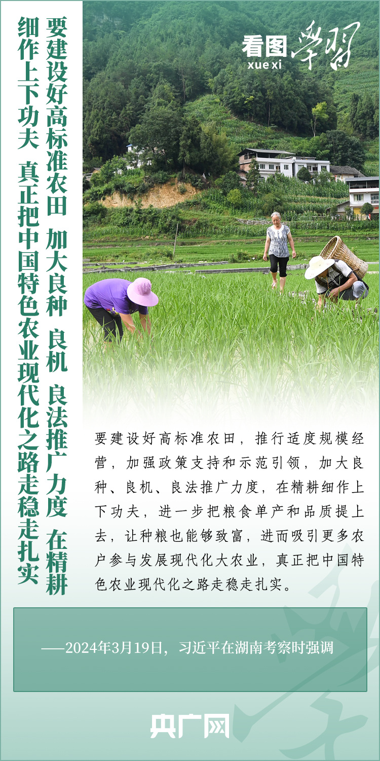 看圖學(xué)習(xí)丨推廣良田、良種、良法、良機 給農(nóng)業(yè)現(xiàn)代化插上科技的翅膀