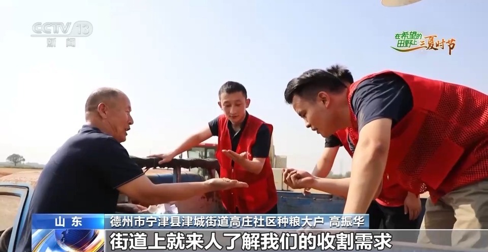 “三夏”生產(chǎn)思維導(dǎo)圖安排上了！還有政府大院等你來“曬”