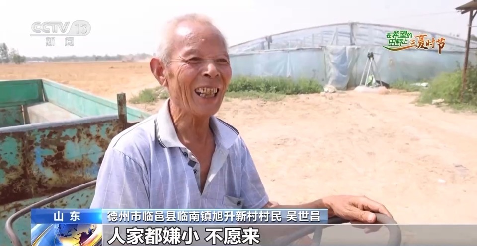 “三夏”生產(chǎn)思維導(dǎo)圖安排上了！還有政府大院等你來“曬”