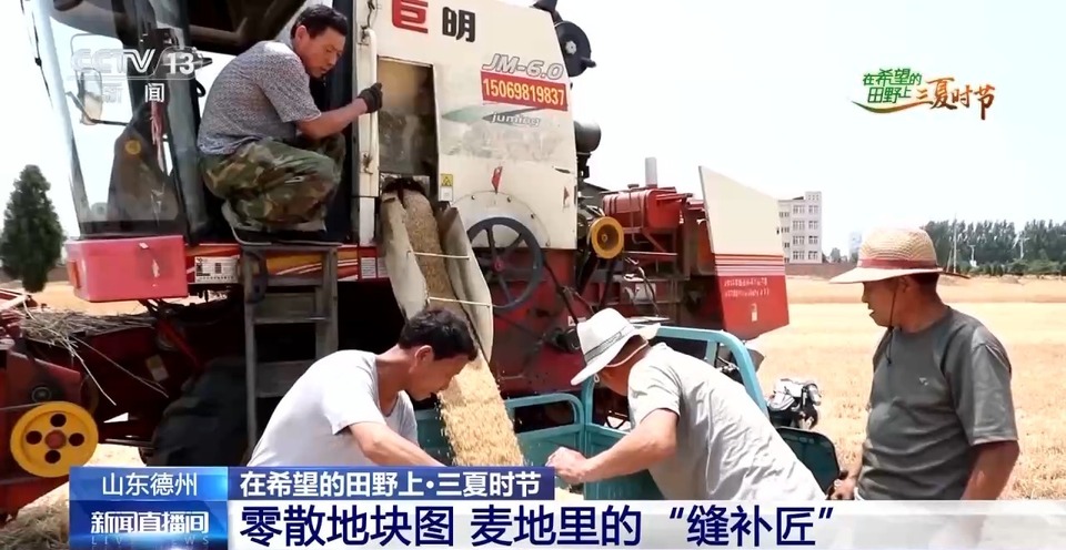 “三夏”生產(chǎn)思維導(dǎo)圖安排上了！還有政府大院等你來“曬”