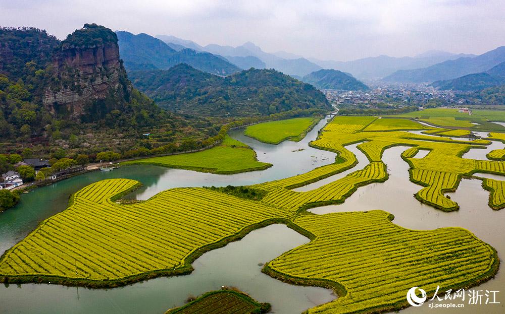 3月28日，航拍浙江省臨海市桃渚鎮(zhèn)桃江十三渚盛開的油菜花景色。人民網(wǎng) 章勇濤攝