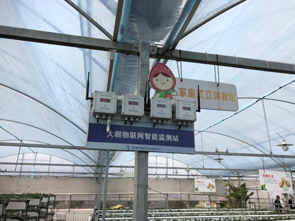 都市四季果園內(nèi)的物聯(lián)網(wǎng)智能監(jiān)測站系統(tǒng)。東?？h委宣傳部供圖