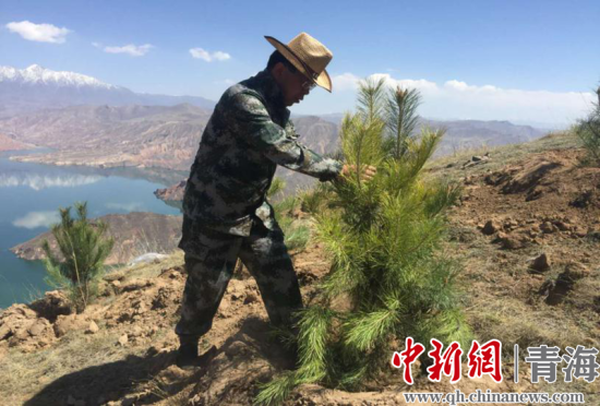 圖為尖扎干部職工生態(tài)建設和環(huán)境保護現(xiàn)場。尖宣 供圖