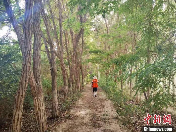 戈壁灘上的護(hù)林員：以前風(fēng)吹睜不開眼，現(xiàn)在滿眼皆綠色
