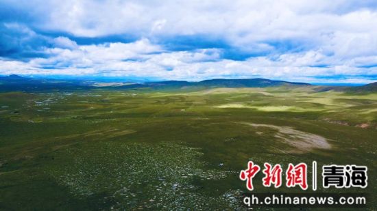 圖為長(zhǎng)江南源沼澤濕地。李江寧攝