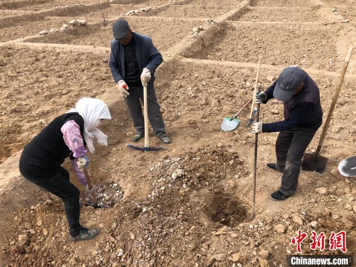 資料圖為建行青海省分行綠化區(qū)施工隊隊員處理亂石?！〗ㄐ星嗪Ｊ》中泄﹫D