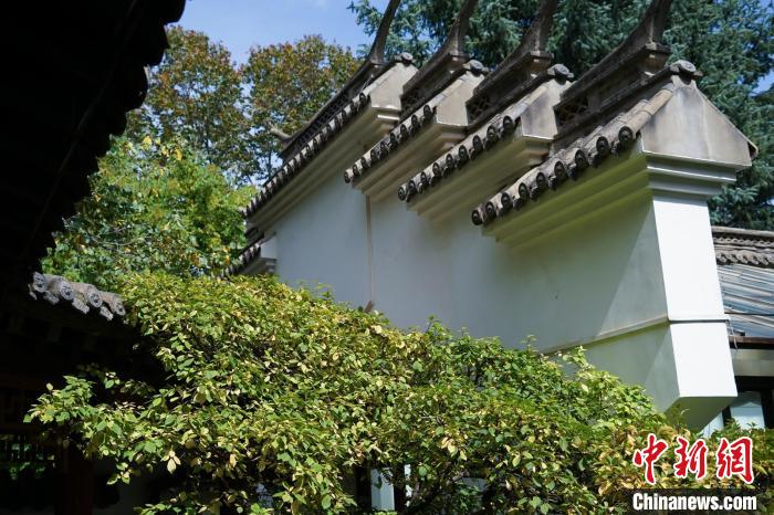 圖為西寧園林植物園內(nèi)的蘇式風(fēng)格建筑。　馬銘言 攝