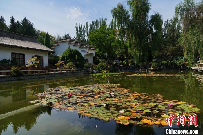 圖為西寧園林植物園秋日風(fēng)景別有韻味?！●R銘言 攝