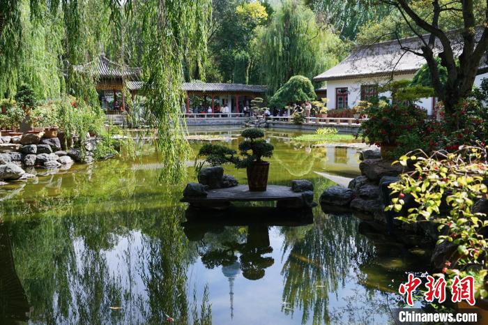 圖為西寧園林植物園秋日風(fēng)景別有韻味。　馬銘言 攝
