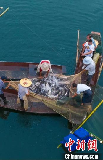 捕魚現(xiàn)場?！≈鬓k方供圖