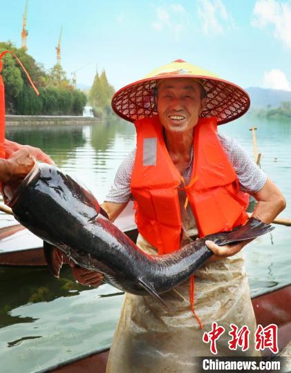 工作人員展示捕撈成果?！≈鬓k方供圖