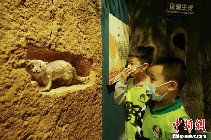 圖為小朋友在青海西寧湟水國家濕地公園科普館內參觀學習?！●R銘言 攝