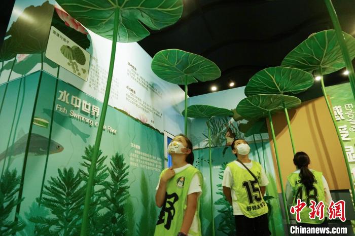 圖為小朋友在青海西寧湟水國家濕地公園科普館內參觀學習?！●R銘言 攝
