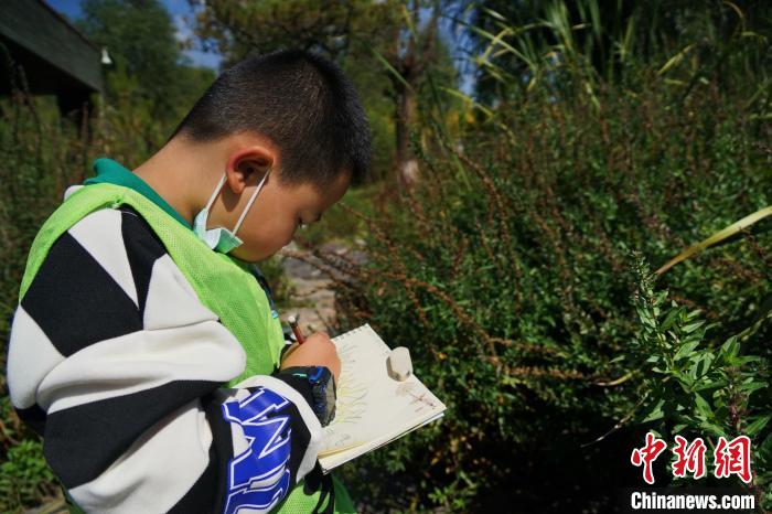 圖為小朋友在青海西寧湟水國家濕地公園內認識植物并進行繪畫?！●R銘言 攝