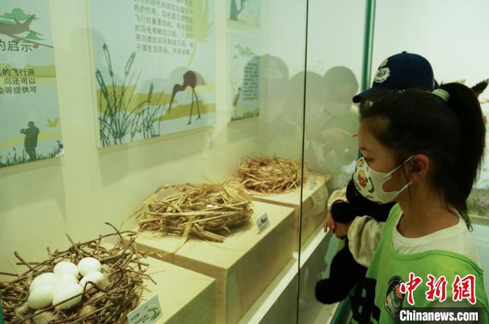 圖為小朋友在青海西寧湟水國家濕地公園科普館內參觀學習?！●R銘言 攝