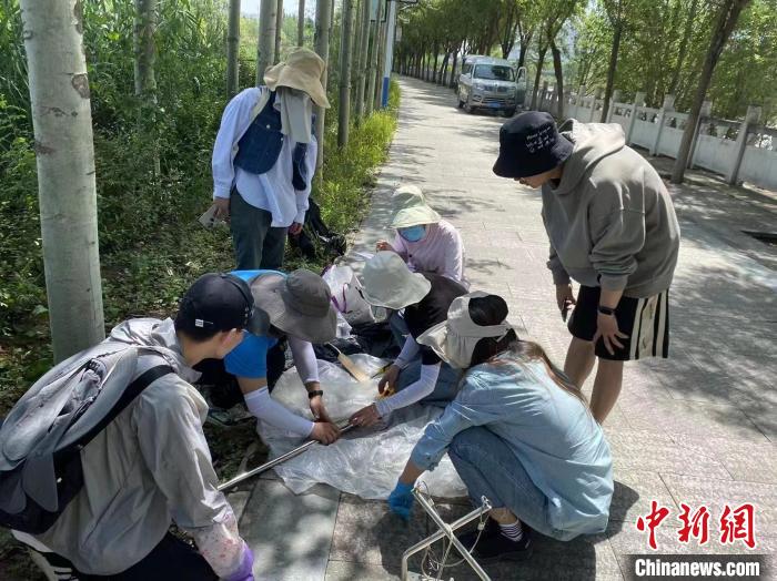 圖為科研人員正在進(jìn)行監(jiān)測(cè)?！∥鲗庝宜畤?guó)家濕地公園供圖