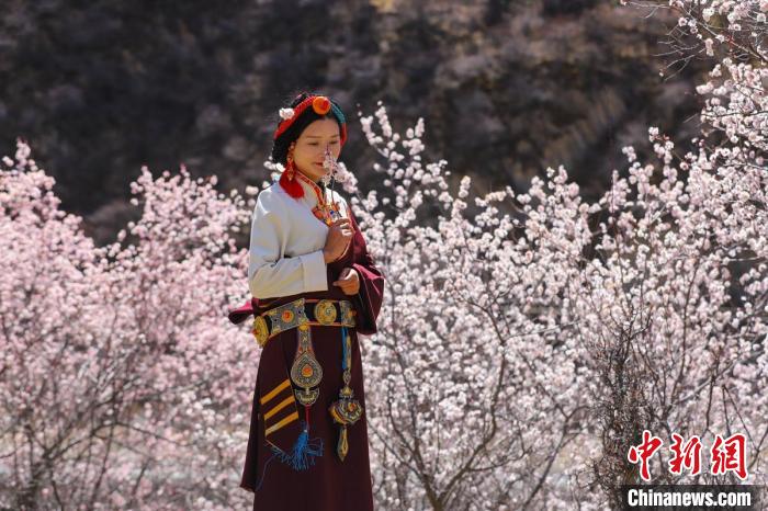 白玉縣河坡鎮(zhèn)桃花林間身穿民族服飾的藏族女孩。　白玉融媒 攝