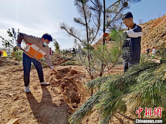圖為西寧市城東區(qū)義務(wù)植樹活動現(xiàn)場?！?zhí)砀?攝