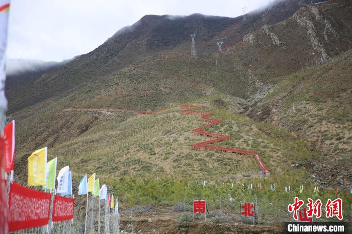 圖為拉薩南北山綠化工程拉薩曲水縣才納村5號片區(qū)?！∝暣_ 攝